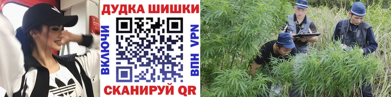 Бошки Шишки индика  Купить закладки  Кстово 